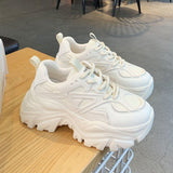 Breakj Black Sneakers Women's 2026 Spring New Pine Cake Lace Casual Single Shoes Fashion Old Dad