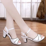 Toe Summer High Heels Women Sandals Wild Word Buckle Female Platform Beach Sandals Ankle Strap Women