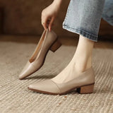 Retro Leather Heels Shoes Pointed Toe Slip-on Loafers Mid Heeled Shoes Women Spring Casual