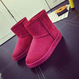 Women's Short-Tube Snow Boot Plush Warm Women Shoes Suede Round-Toe Flat Heel Ankle Boots botines mujer 2021