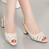 5.5cm Women's Sandals Summer Mesh Fish Mouth Chunky Heel Semi-High Heeled Hollow Out Soft Bottom Shoes Zapatos Para