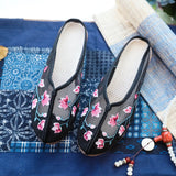 Breakj Mesh Shoes Embroidered Sandals Cloth Shoes Women Summer Fashion Mesh Embroidered Women Sandals