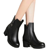 Boots Women 2024 New Thick Plush Ankle Snow Boots Women High Heels Botas Mujer Invierno Outdoor Women Casual Warm