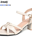 6CM Summer Women Sandals PU Leather 2023 New Large Size Comfort Square Heel Sandals Open Toe Shoes Woman Fashion