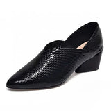 Spring and Autumn New Pointed Fashion Simple Leather Outerwear Versatile High Heel Shoes for Women's Single Shoes for