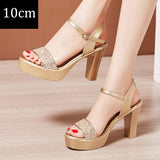 2021 Summer Sexy Women High Heels Sandals 13cm Stripper Shoes Party Pumps Shoes Women Platform Sandals Open