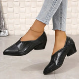 Spring and Autumn New Pointed Fashion Simple Leather Outerwear Versatile High Heel Shoes for Women's Single Shoes for