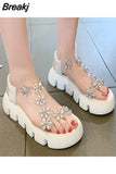 Women Shoes Sandals Ins Tide 2023 New Female Summer Flowers Flat Fashion Thick Sole Transparent High Heels Ladies
