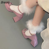 Spring New Mary Jane Shoes Women Square High Heel Pumps Shoes Fashion Ankle Strap Ladies Elegant Office Lady