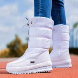 Women Winter Boots Platform Snow Boots Waterproof Non-slip Thick Plush Warm Mid-calf Boots for Women Winter Shoes Botas