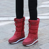 Women Winter Boots Platform Snow Boots Waterproof Non-slip Thick Plush Warm Mid-calf Boots for Women Winter Shoes Botas
