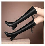 Women Leather Elastic Over The Knee Boots 2024 New Winter Warm Plush Long Boot Autumn Slip-On Pointed Thick Heels Knight