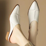 Half Slippers Female Autumn Summer 2024 New Korean Version Wearing Thick Heel Sandals Pointed Lazy Middle Heel Muller
