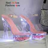 Glowing Sandals Women 2023 Summer New Flowers Transparent High Heels 14.5cm Platform Thick heel Ladies Banquet