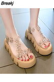Women Shoes Sandals Ins Tide 2023 New Female Summer Flowers Flat Fashion Thick Sole Transparent High Heels Ladies