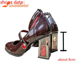 High Heeled Women Pumps 2023 New Fashion Niche Design Sense Mary Jean Shoes French Style Buckle Strap Pumps Spring