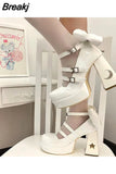 Women Mary Janes Pumps Shoes Brand Design 2023 Spring Gothic Style Lolita Sweet Girl Office Lady High Heels Pumps