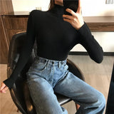 Women high neck Sweater Pullovers Turtleneck Autumn Winter Basic Women Sweaters Slim Fit