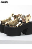 Thick Heels Platform Sandals For Women 2023 European Style Ankle Buckle Sandals Comfy Walking Lady Sandals